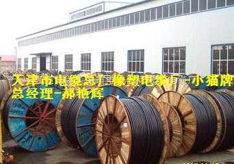 天津電纜總廠橡塑電纜廠 品質與創新的電力傳輸先鋒